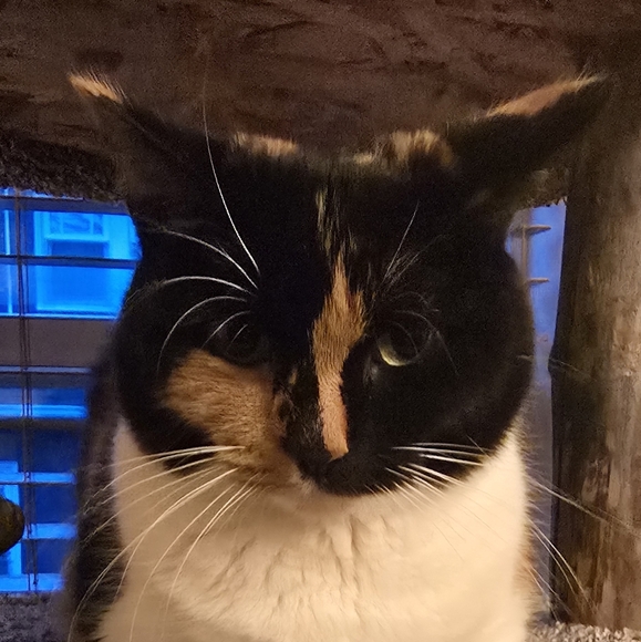 Meet your Posher, Wildmutant - Picture 1 of 1